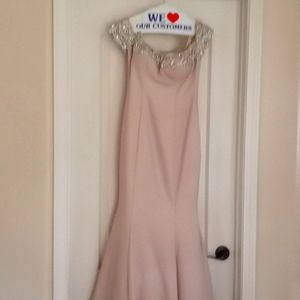 Magnificent  blush  gown